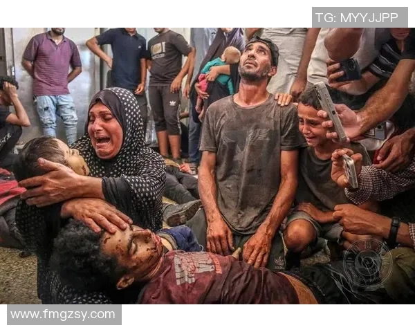 巴黎与伊斯坦布尔冲突背后的文化碰撞与历史纠葛探讨