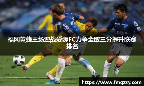 福冈黄蜂主场迎战爱媛FC力争全取三分提升联赛排名
