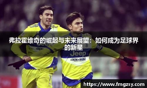 弗拉霍维奇的崛起与未来展望：如何成为足球界的新星